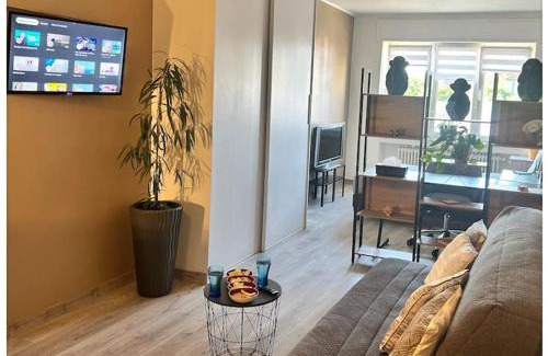 Basse-Ham Appartement | Studio 40m2 Quartier Résidentiel à 7mn Thionville et proche CNPE