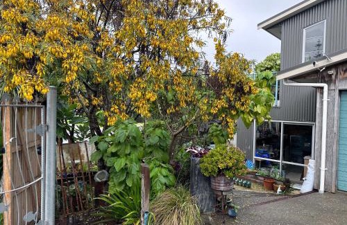 Waikanae Appartement | Studio 51 - just 30 seconds to the beach