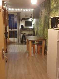 Les Deux Alpes Appartement | Studio Alpheratz Forest - 1 à 3 pers - WIFI, balcon, vue piste et glacier Muzelle, calme, proche commerces et pistes- TSC Super Venosc à 80m