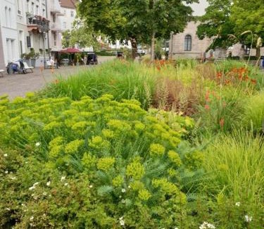 Baden Baden Old Town Appartement | Studio an der Therme