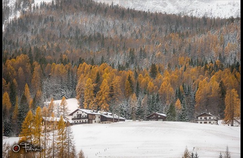 Cortina d'Ampezzo Appartement | Studio 2 lits