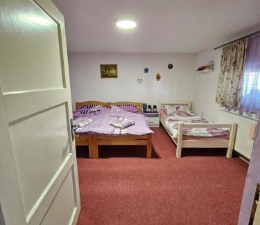 Popovaca Appartement | Studio apartman Big Lili