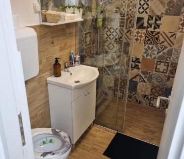 Sisak Appartement | Studio Apartman Bojana 34m2,free wifi,parking
