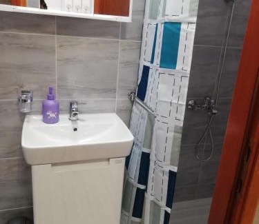Popovaca Appartement | Studio apartman Small Lili