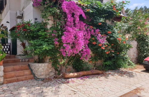 Artatore Appartement | Appartement Studio dans Mali Lošinj avec terrasse, Climatisation, WIFI (4913-2)