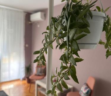 Grbavica Appartement | Studio Apartment Laganini