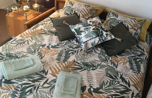 Reims City Centre Appartement | Studio Apartment 'Le Palace Cathédrale De Reims' with Garden, Terrace & Wi-Fi