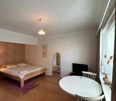 Jyvaskyla Appartement | Studio apartment near the center