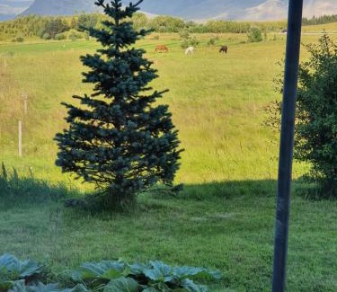 Hofn Appartement | Studio apartment with great view in Höfn