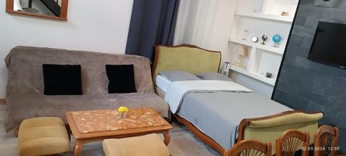 Bar-sur-Aube Appartement | studio Artur 1