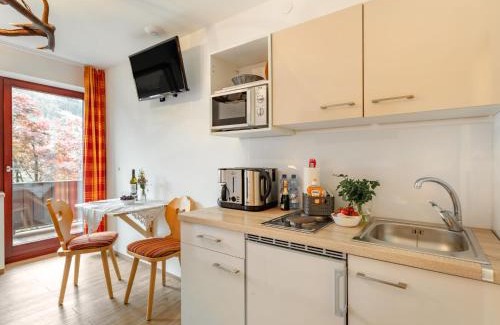 Schonbach Appartement | Studio Mittagssonne by Interhome