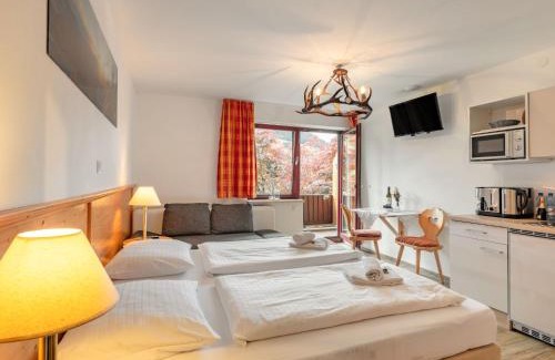 Schonbach Appartement | Studio Mittagssonne by Interhome