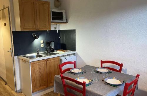 Le Grand-Bornand Appartement | Studio au cœur du Chinaillon avec Parking et Balcon, 4 couchages - FR-1-241-176