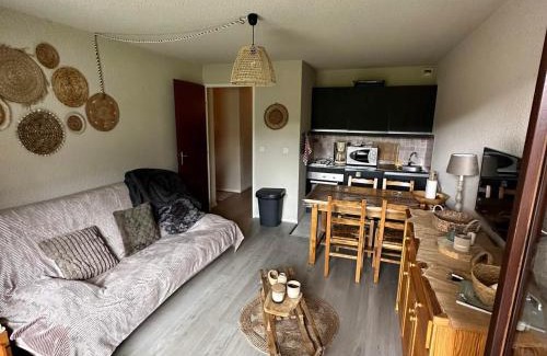 Correncon-en-Vercors Appartement | Studio au pied des pistes avec balcon, parking et proche randonnées - 38250 Corrençon-en-Vercors - FR-1-515-202