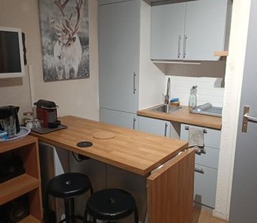 Mieussy Appartement | Studio au pied des pistes avec vue sur la montagne