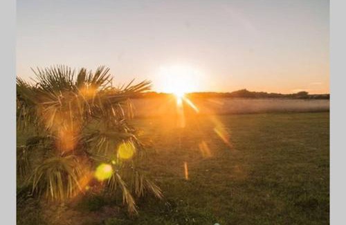 Montmartin-sur-Mer Maison | Studio au pied des dunes, 200 m de la plage