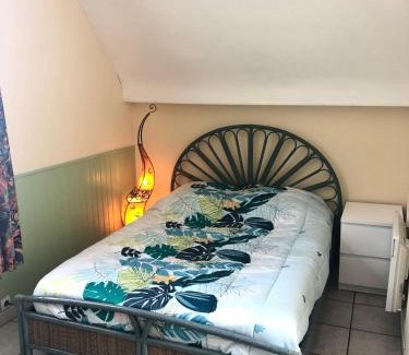 Tourcoing Maison | Studio autonome terrasse privée