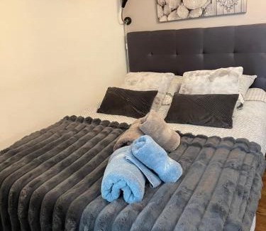 Bourg-Saint-Maurice Appartement | Studio aux pieds des montagnes