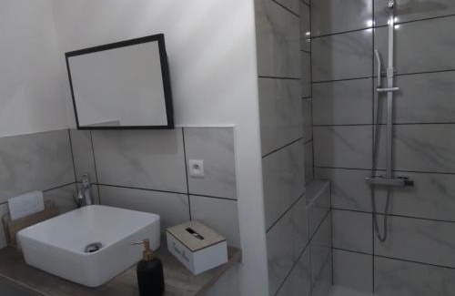 Mayet Appartement | Studio avec jardin