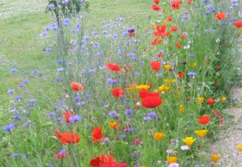 Tonnay-Charente Appartement | Studio avec jardin clos et wifi a Tonnay Charente