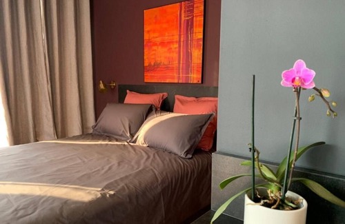 Vieille-Toulouse Appartement | Studio Avec Vue sur Jardin