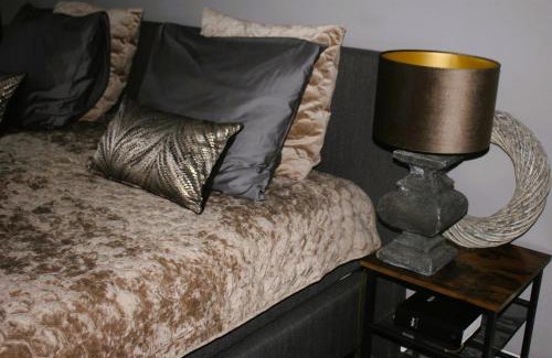 Assendelft Appartement | Studio Bed and Breakfast Zaans Moment