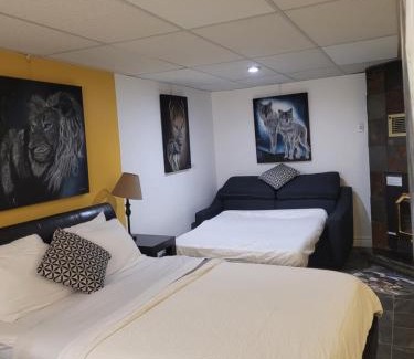 St. Felicien Appartement | Studio Bellevue