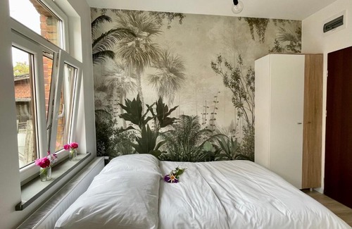 Bielawa Appartement | Studio Bielawa u podnóża Gór Sowich