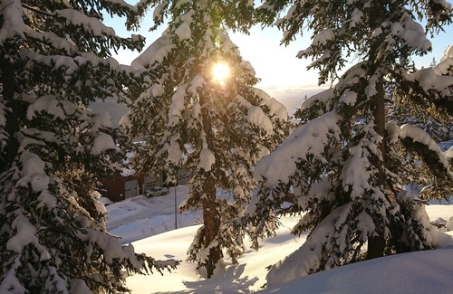La Rosiere Appartement | STUDIO CABIN 33m2 RESIDENCE LES CHAVONNES