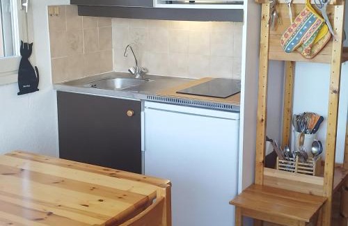 Prapoutel Appartement | Studio Cabine au Calme, Proche des Pistes et du Centre, Balcon, TV - FR-1-771-68
