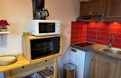 Auris Appartement | Studio cabine au pied des pistes, 3 couchages, parking - FR-1-297-326