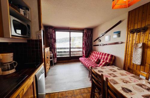 Les Saisies Appartement | Studio cabine cosy aux Saisies, sud, 4 pers, skis aux pieds, proche ESF, tout équipé - FR-1-293-169