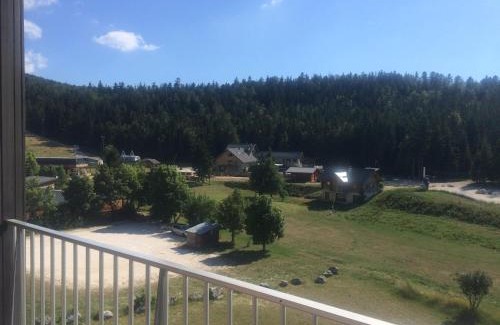 Correncon-en-Vercors Appartement | Studio Cabine 33m² – Pied des Pistes, Balcon Sud, Animaux Admis - FR-1-515-79