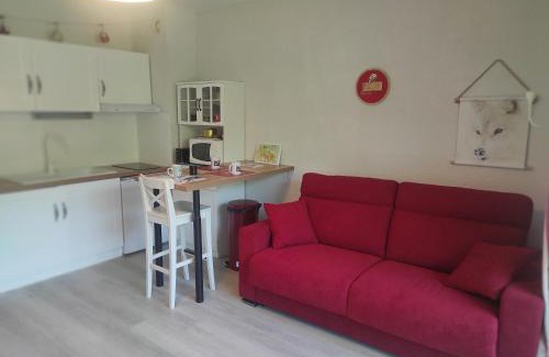 Saint-Lary-Soulan Appartement | Studio cabine résidence du Stade