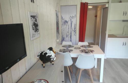 Saint-Lary-Soulan Appartement | Studio cabine résidence du Stade