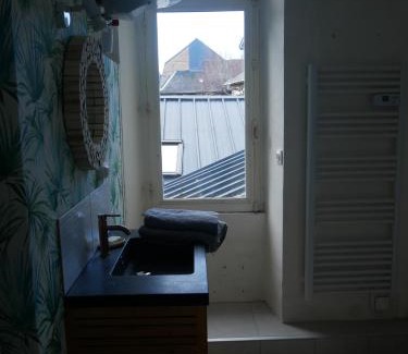 La Fleche Appartement | Studio centre ville la Flèche proche zoo