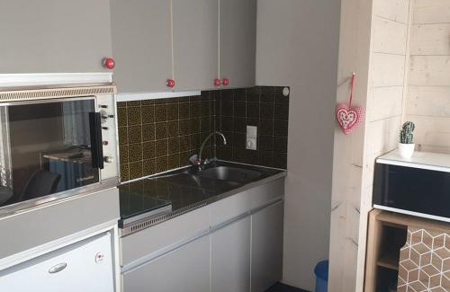 Les Carroz-d'Araches Appartement | Studio chaleureux, balcon sud, 4 pers., proche centre et pistes - Les Carroz - FR-1-572-218