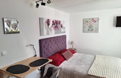 Valff Appartement | Studio charmant à Valff avec jardin privé - 20 m²