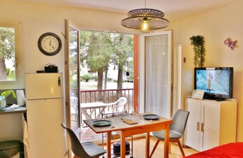 Amelie-les-Bains-Palalda Appartement | Studio classé 2 étoiles à 5 minutes du centre ville et 10 des Thermes