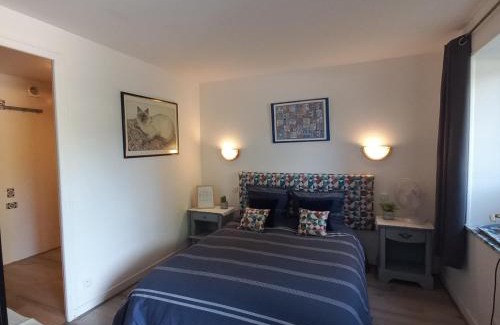 Genouille Appartement | Studio Corail