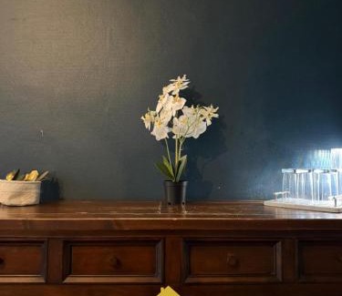 Bar-le-Duc Appartement | Studio Cosy & Élégant Quartier de la Rochelle