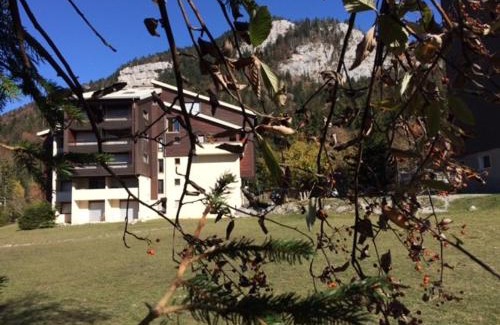 Correncon-en-Vercors Appartement | Studio cosy au pied des pistes, parfait pour famille, avec balcon, proche golf et randonnées - FR-1-515-99
