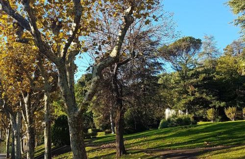 Lamalou-les-Bains Appartement | Studio cosy proche Thermes et centre-ville avec terrasse, animaux acceptés – Lamalou-les-Bains - FR-1-451-67