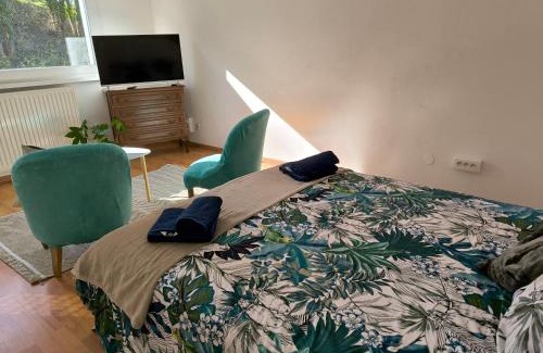 Sarrebourg Appartement | Studio d'Angélique