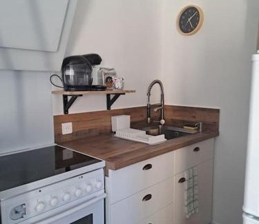 Serezin-du-Rhone Appartement | Studio dans maison avec jardin et balcon, au calme