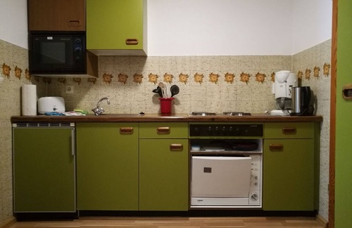 Menzenschwand-Hinterdorf Appartement | Studio C2 with a small conservatory for 2 people
