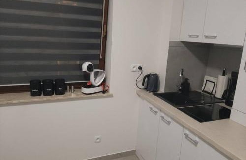 Rybnik Appartement | Studio Fibra Choco