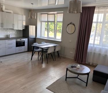 Kedainiai Appartement | Studio flat Centrinis Butukas