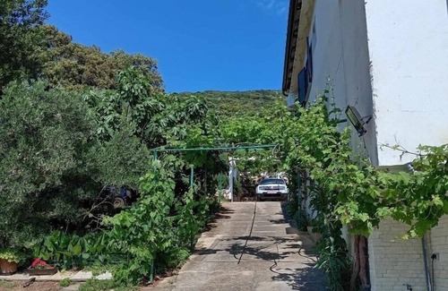 Martinscica Appartement | Garçonnière prés de la plage Martinscica, Cres (AS-23980-b)