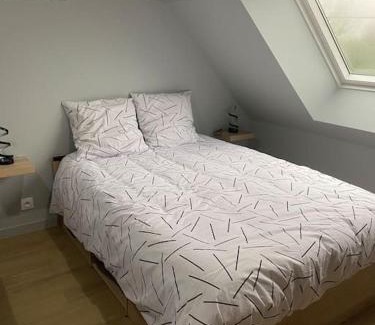 Lourouer-Saint-Laurent Appartement | Studio